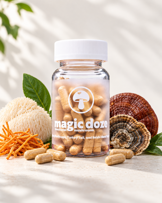 Magic Doze Maintain four-mushroom blend capsules bottle with capsule detail