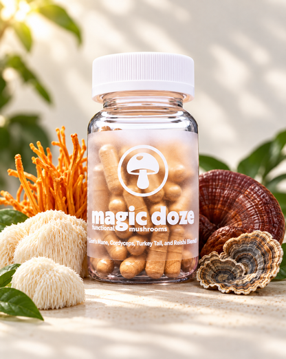 Magic Doze Maintain four-mushroom blend capsules bottle in clean lifestyle setting